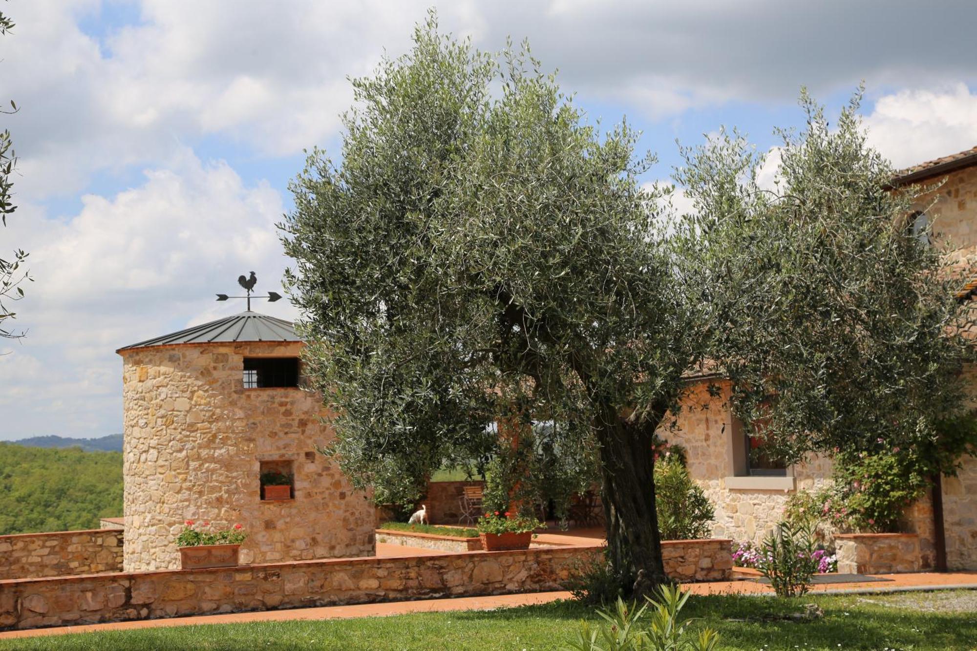 Colombaio Di Cencio Διαμέρισμα Gaiole in Chianti Εξωτερικό φωτογραφία