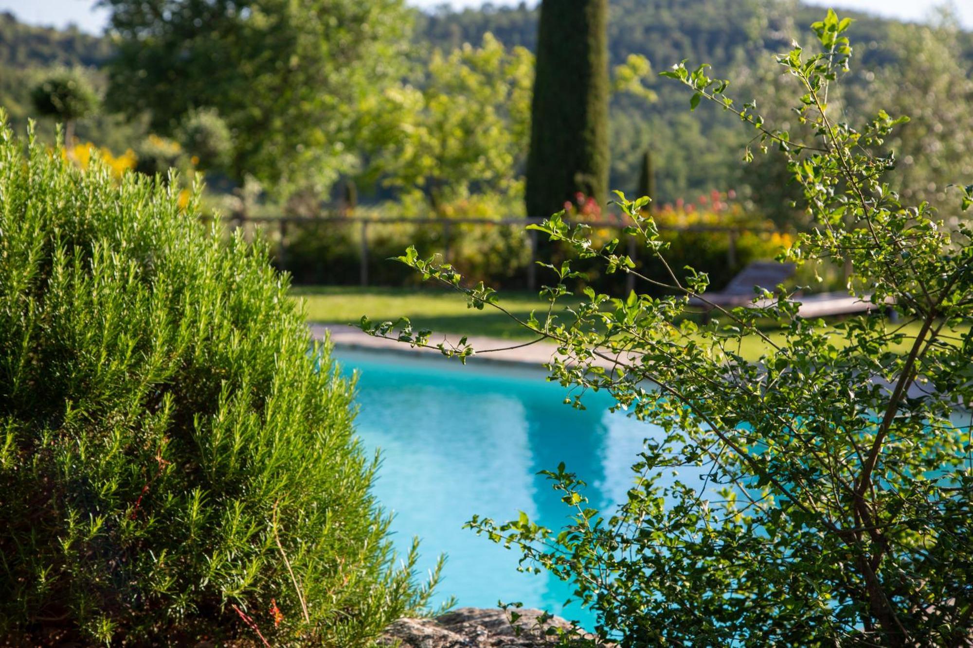 Colombaio Di Cencio Διαμέρισμα Gaiole in Chianti Εξωτερικό φωτογραφία